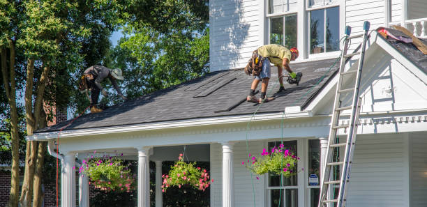 Best Roof Gutter Cleaning  in Kendall West, FL